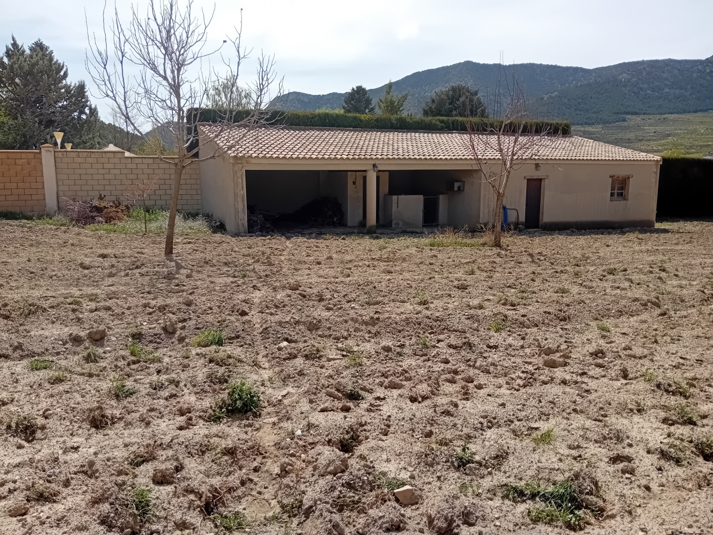ES173630: Commercial Property  in Huescar